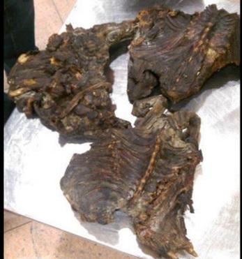 Checks at airports during Operation Opson V identified international travellers importing illicit products and customs officers at Zaventem airport in Belgium confiscated several kilos of monkey meat. Photo from Interpol