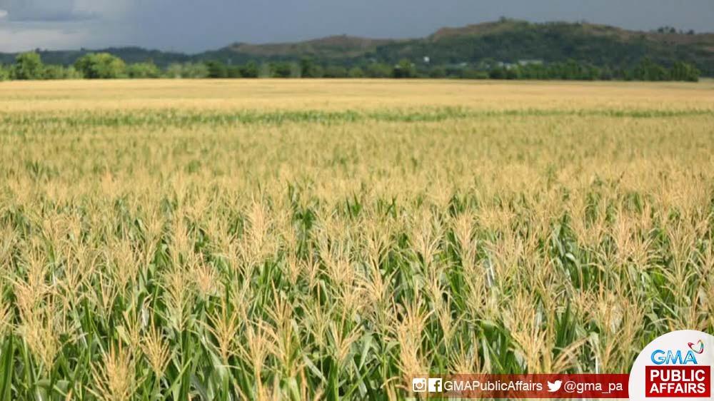 A ‘Biyahe ni Drew’ itinerary Beyond the vast rice and corn fields of