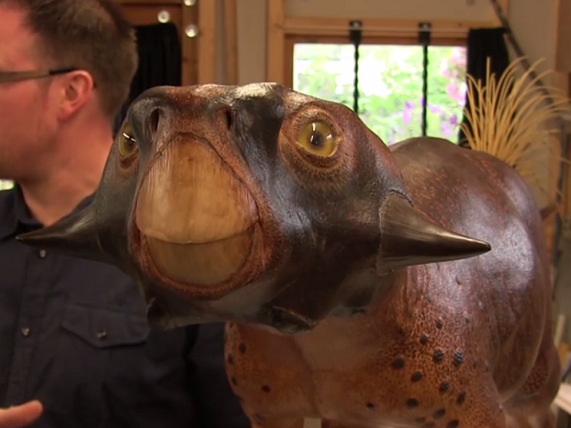 Psittacosaurus image