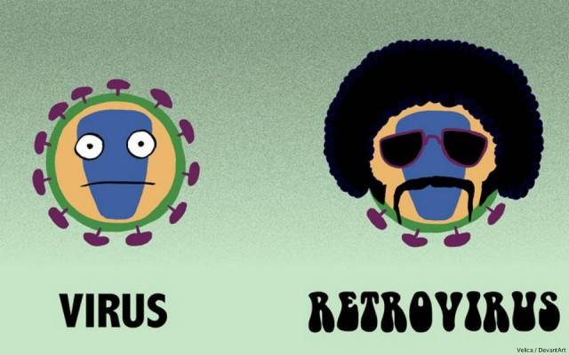 Retrovirus