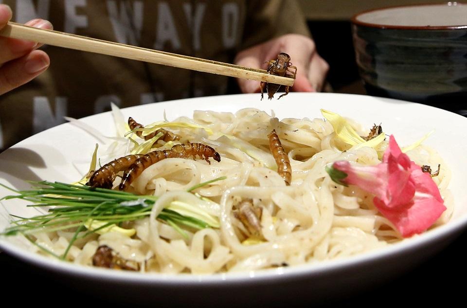 A dash of bugs with that? Insecttopped noodles sell out in Tokyo GMA