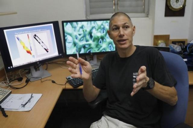 Maoz Fine, a professor of marine biology from Israel's Bar Ilan university who is conducting research on the Gulf of Eilat, gestures while sitting in an office at the Interuniversity Institute for Marine Sciences in the Red Sea resort of Eilat on June 12, 2017. MENAHEM KAHANA / AFP