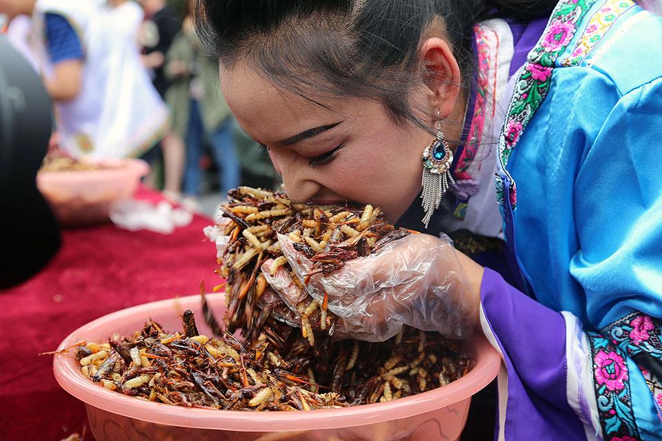 Insecteating contest held in Chinese village Photos GMA News Online