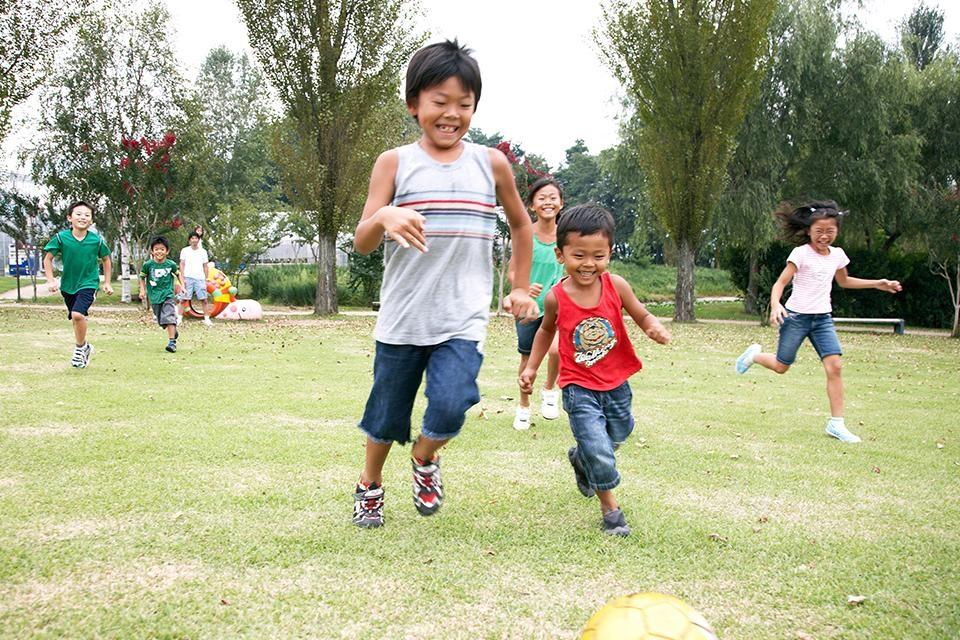 Free daycare with feeding, physical activities can improve learning &&EDCOM II