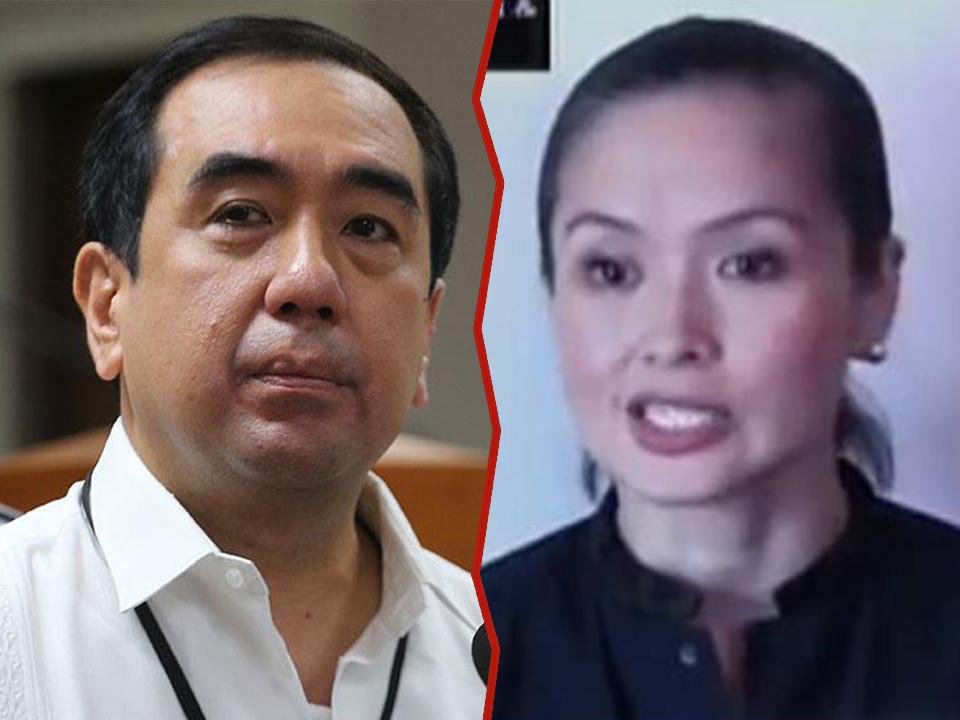 Bautista s brother denies ill gotten wealth raps vs. Comelec