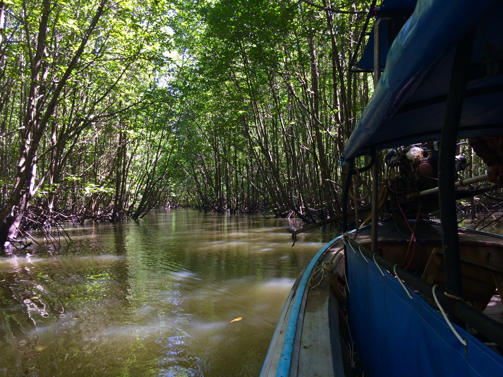 Krabi River has an array of mangrove forrests and tourists have the option to pass through them via boat or kayak. Sometimes you can randomly see monkeys up in the trees. Photo: Joseph Tristan Roxas. 
