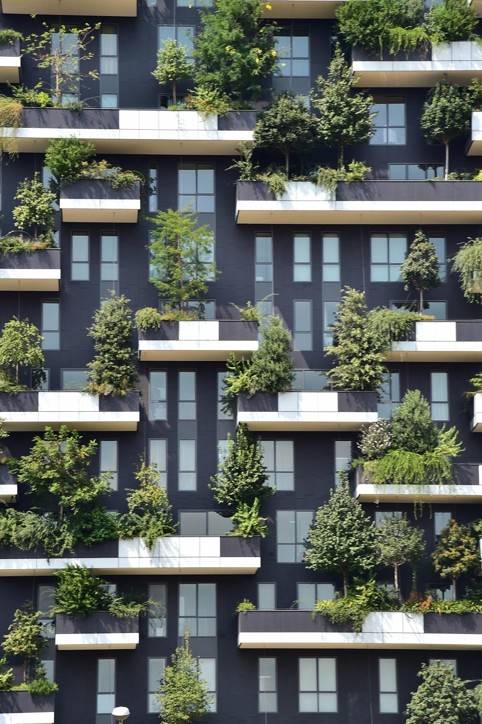 A picture taken on July 24, 2015 shows a close-up view of the Bosco Verticale. Giuseppe Cacace/AFP