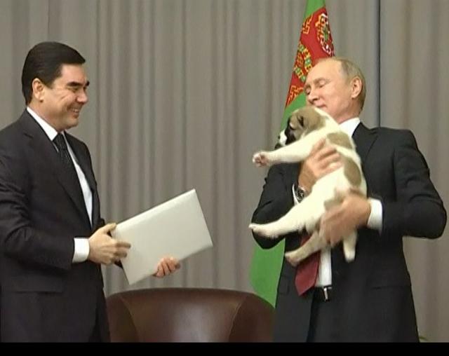 Screencap from Reuters' video.