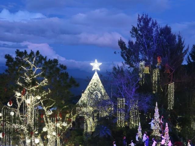 The giant tree in an elevated pond with life-sized penguins looks especially pretty at dawn or at dusk