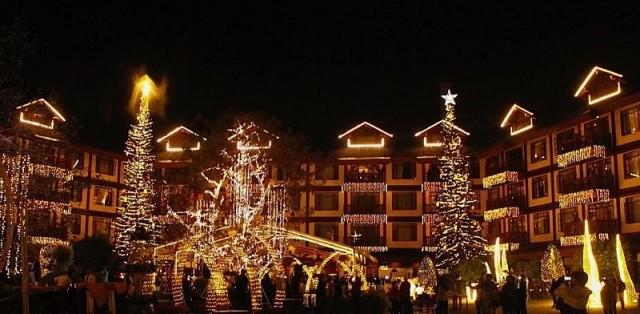 From December 16 to January 2, there will be three light shows a day.