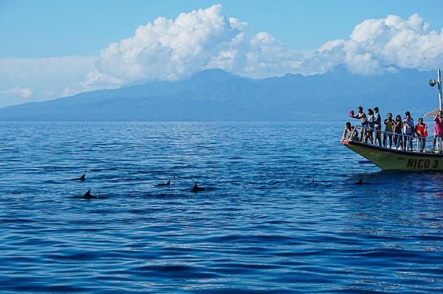 The strait is one of the country's largest marine protected areas and a vital migratory, feeding and resting area for 14 out of the 27 species of marine mammals in the Philippines. Photo: Danny Ocampo/Oceana Philippines