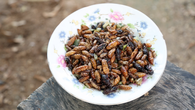 Fried crickets, anyone?