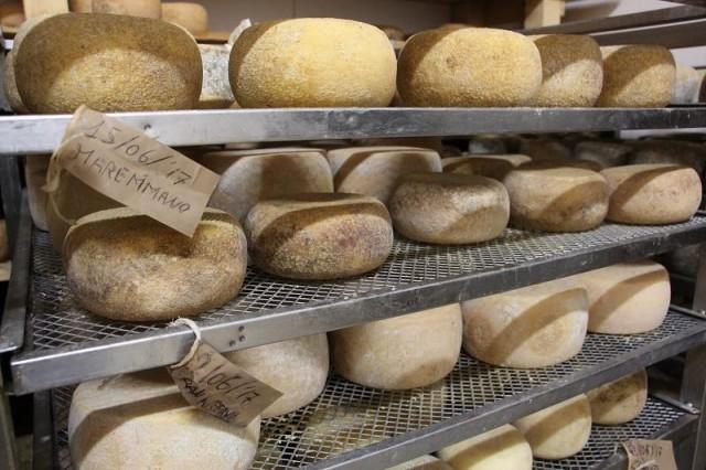 Italian cheeses made with geothermal energy