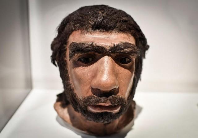 A picture taken on March 26, 2018 shows a molding of a Neanderthal man face displayed for the Neanderthal exhibition at the Musee de l'Homme in Paris. Stephane de Sakutin/AFP
