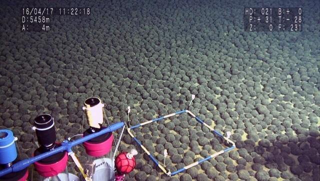 This handout photograph taken on April 17, 2016, and released by The Japan Agency for Marine-Earth Science and Technology (JAMSTEC) on August 26, 2016 shows manganese nodules discovered some 5,500 meters deep in the exclusive economic zone of Japan, around Minamitorishima, located some 1,850 kilometers south of Tokyo. HO/JAMSTEC/AFP