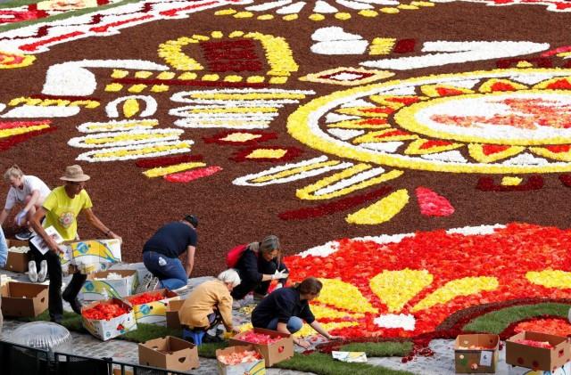 Gardeners adjust flowers on a 1,800 square meters flower carpet on the theme "Guanajuato, cultural pride of Mexico" and made with over 500,000 dahlias and begonias, at Brussels' Grand Place, Belgium August 16, 2018. REUTERS/Yves Herman