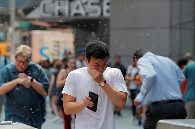 People react to a swarm of bees in Times Square in New York City, U.S., August 28, 2018. REUTERS/Brendan McDermid