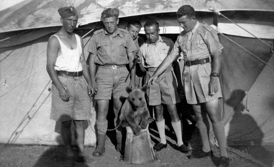 This undated handout made available by the Polish Institute and Sikorski Museum shows the Wojtek the baby bear surrounded by Polish soldiers in what was then Persia in 1942. Handout/The Polish Institute and Sikorski Museum - London/AFP