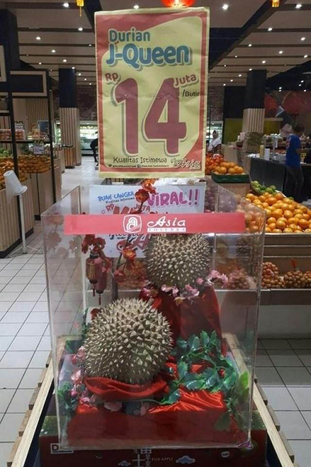 This undated handout photograph released on January 30, 2019 by Asia Supermarket Plaza shows a pair of durians on sale for 14 million rupiah (990 USD) per fruit at a supermarket in Tasikmalaya. AFP/Asia Supermarket Plaza