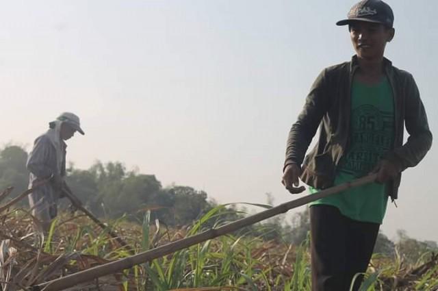 Some of the sugar workers in Negros Occidental seen to be affected if the proposed liberalization scheme on sugar importation pushes through this year. CONTRIBUTED PHOTO