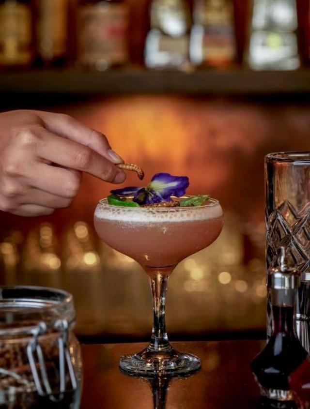 Photo courtesy of WYLD Kitchen x Bar