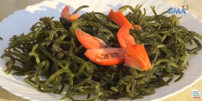 Isang uri ng seaweed, puwedeng panlaban sa cancer cell? | Talakayan
