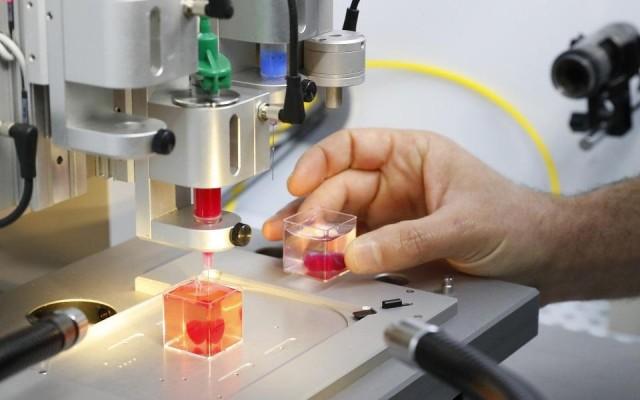 This photo taken on April 15, 2019 at the University of Tel Aviv shows a 3D print of heart with human tissue. Jack Guez/AFP