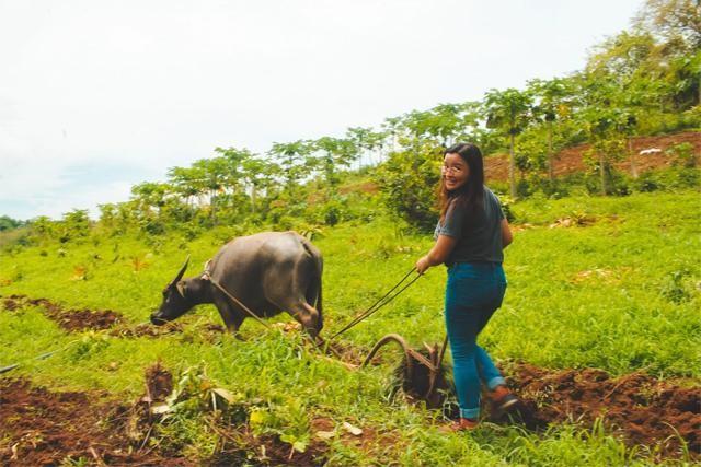 Yamang Bukidâ€™s multi-media content creator Dianne Kathryn Datu tries her hand on becoming a farmer with â€œGrabaoâ€ (Drifter Teller photo)