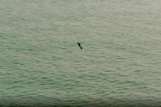 In this screen grab from a handout video taken and released by Etoile Noire on August 4, 2019, Franky Zapata stands on his jet-powered "flyboard" as he arrives at St. Margaret's Bay in Dover, during his attempt to fly across the 35-kilometer (22-mile) Channel crossing in 20 minutes, while keeping an average speed of 140 kilometers an hour (87 mph) at a height of 15-20 meters (50-65 feet) above the sea. Julian Nodowlsky/Etoile Noire/AFP