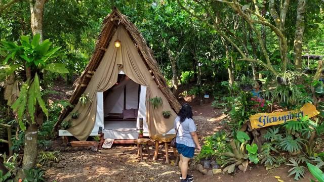 Glamping in the middle of a forest inside spacious tents.