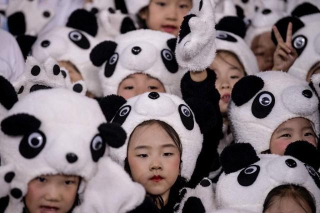 Children wearing a panda costume group together during the official reveal of the mascots for the Beijing 2022 Winter Olympic and Paralympic Games at Shougang Ice Hockey Arena, Shougang Park, Shijingshan District, Beijing in September 17, 2019. NOEL CELIS / AFP