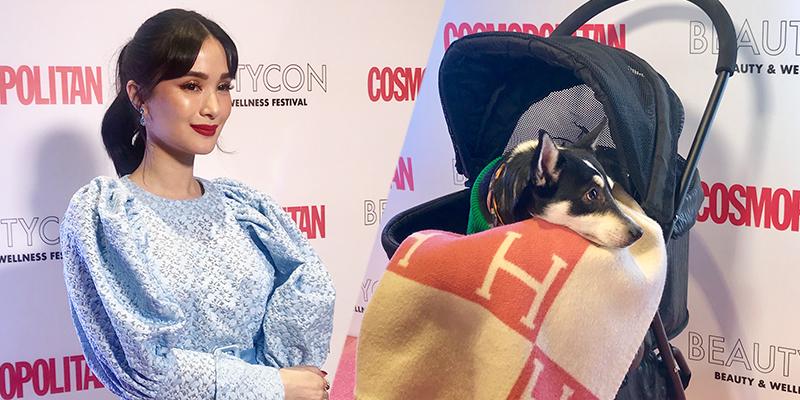 Heart Evangelista's adopted dog dons Hermes scarf worth thousands of pesos  - The Filipino Times