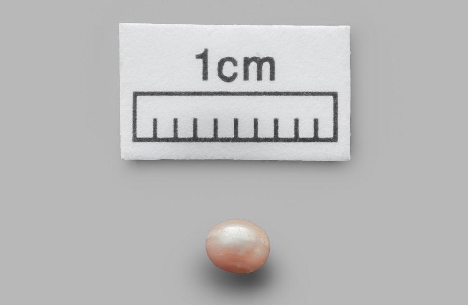 A handout picture released by the Department of Culture and Tourism â€“ Abu Dhabi on October 20, 2019, shows a pearl recovered from an archeological site in on Marawah Island. Abu Dhabi Department of Culture and Tourism / AFP