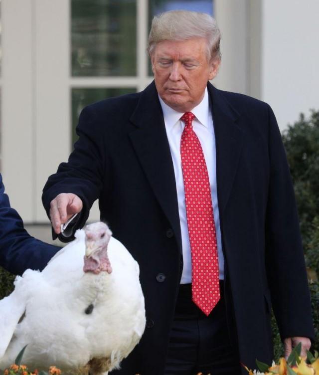 US President Donald Trump pardons one of the 72nd National Thanksgiving Turkeys during pardoning ceremonies in the Rose Garden of the White House in Washington, U.S., November 26, 2019. REUTERS/Loren Elliott