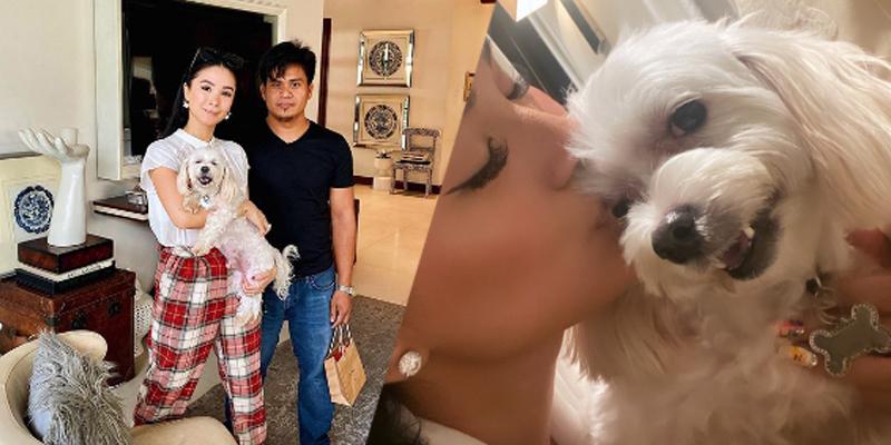 GMA News - LOOK: Heart Evangelista took to Instagram to thank Kuya Victor,  the guy who found and returned her missing dog Casper. Look at Casper's  smile! Thank you so much to