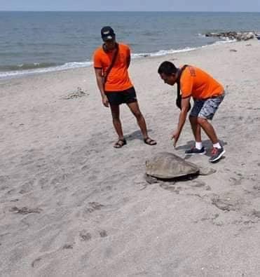 Photo: Captain Armand Balilo, PCG