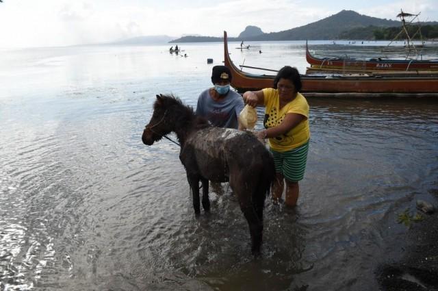 Residents living at the foot of Taal volcano wash their volcanic ash-covered horses after rescuing them from their homes and transporting them to Balete town, Batangas province south of Manila on January 14, 2020. Ted ALJIBE / AFP