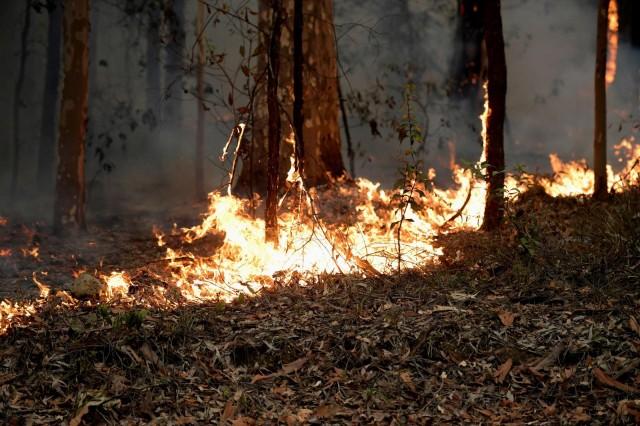 Small fires along the eastern edge of the Currowan fire still burn on the Princes Highway near in Milton, Australia January 5, 2020. REUTERS/Tracey Nearmy