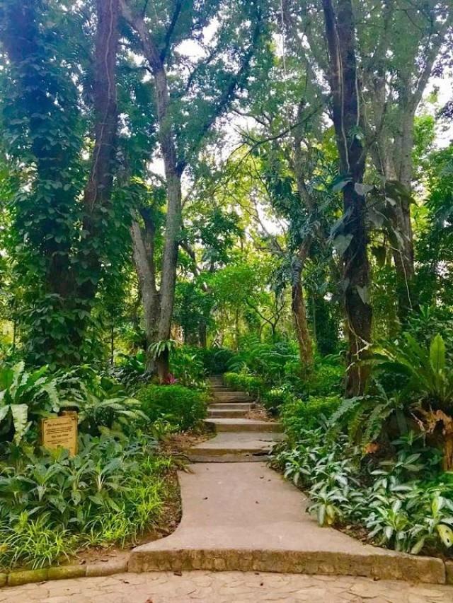 The Drilon Orchidarium will be among the venues for family-friend activities