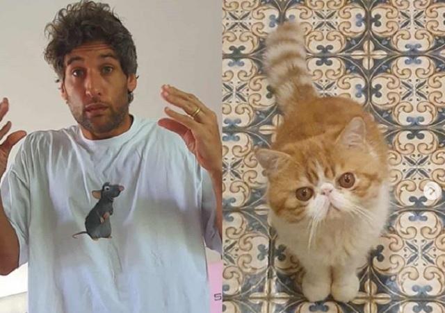 Who Killed Thylane Katana S Bear Stuffed Toy Nico Bolzico Probes