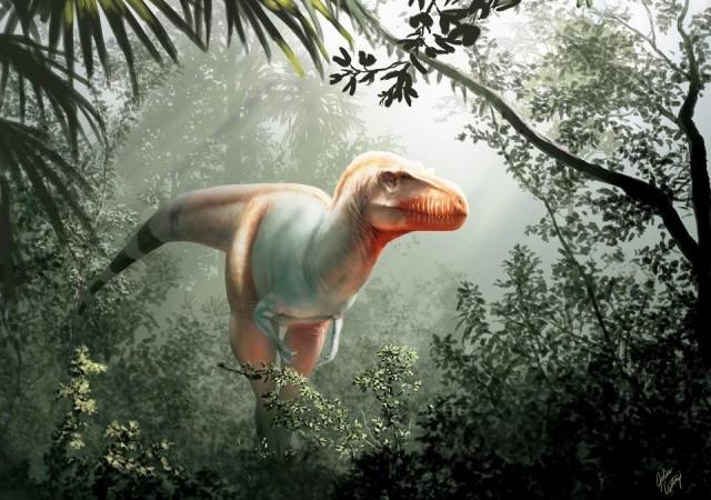 A handout photo made available on February 10, 2020 by the University of Calgary and Royal Tyrrell Museum shows an artist's impression of a Thanatotheristes degrootorum, a newly discovered species of T-Rex. Julius Csotonyi/The University of Calgary and Royal Tyrrell Museum/AFP