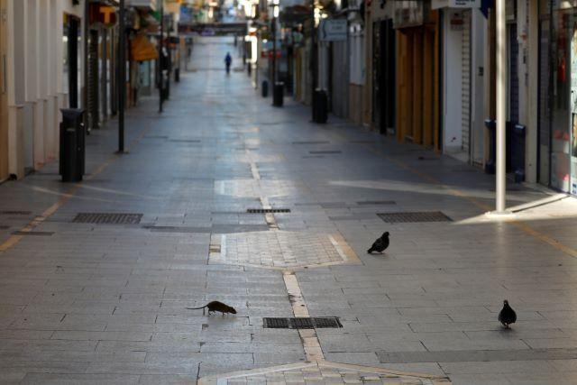 A rat and pigeons are seen in the empty shopping La Bola street, during the coronavirus disease (COVID-19) outbreak, in downtown Ronda, southern Spain, April 3, 2020. REUTERS/Jon Nazca