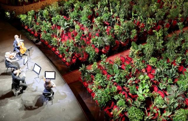 Nursery plants are seen placed in people's seats during a rehearsal as Barcelona's Gran Teatre del Liceu opera reopens its doors with a concert for plants to raise awareness about the importance of an audience after the lockdown, amid the coronavirus disease (COVID-19) outbreak, in Barcelona, Spain June 22, 2020. REUTERS/Nacho Doce
