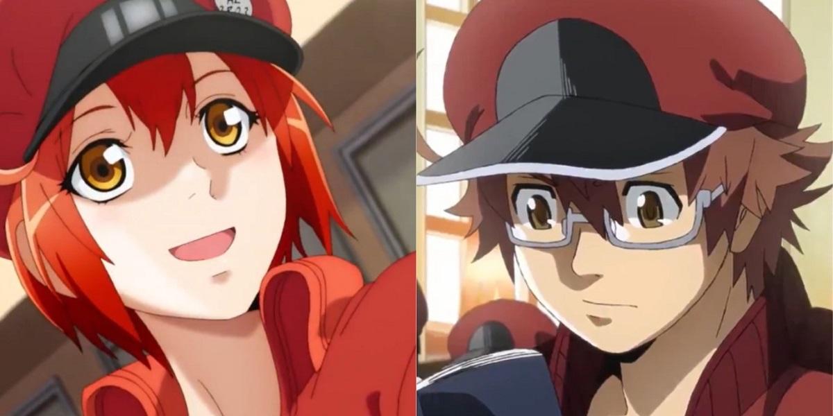 Cells at Work Spinoff Code Black Anime Adaptation Set for