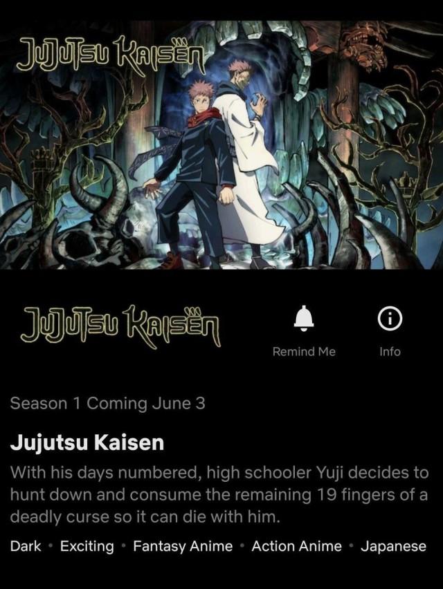 É a primeira temporada de 'Jujutsu Kaisen' no Netflix?