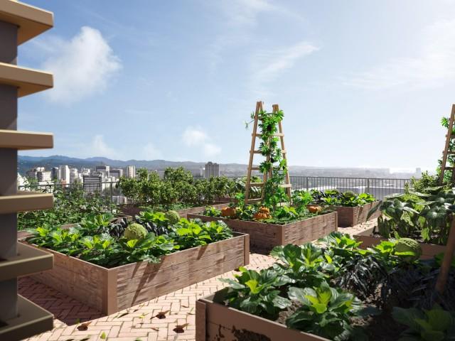 Lucima will have its own Potager Garden that will provide residents with fresh, organic and nutritious produce (Artist&acirc;s Perspective)