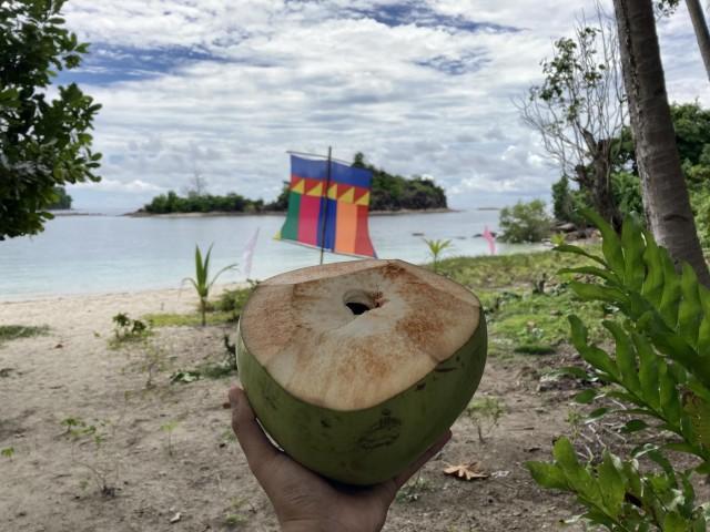 Fresh coconut juice to quench your thirst for only PHP25