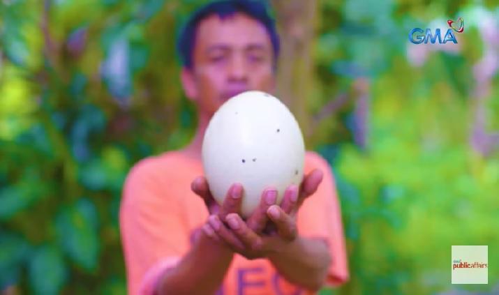 Giant egg surfaces in Cebu town