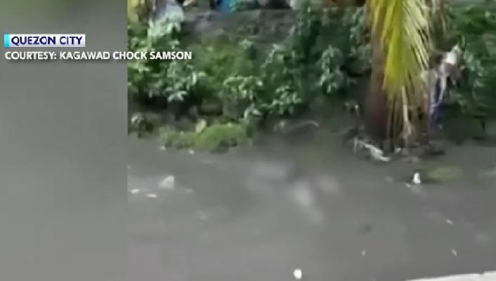 Bangkay Ng Lalaki Natagpuang Inaanod Sa Creek Sa QC Balitambayan