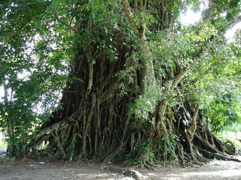 Aurora province: What our islands used to be